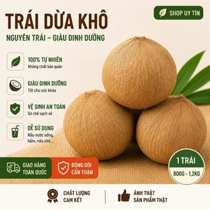 Combo 2 trái dừa khô Bến Tre (đã lột vỏ)