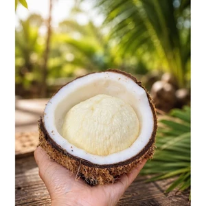 Combo 2 trái dừa mộng bến tre ( đã lột vỏ)