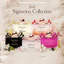 Nước hoa Signorina Salvatore Ferragamo các dòng fullsize