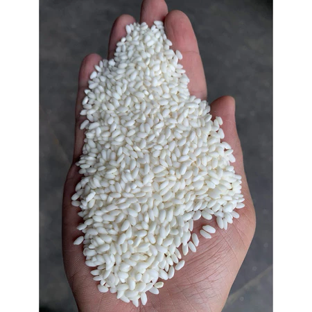 Nếp cái hoa vàng (Nếp Bắc) nếp dẻo dai ngọt nếp đặc sản nổi tiếng miền Bắc