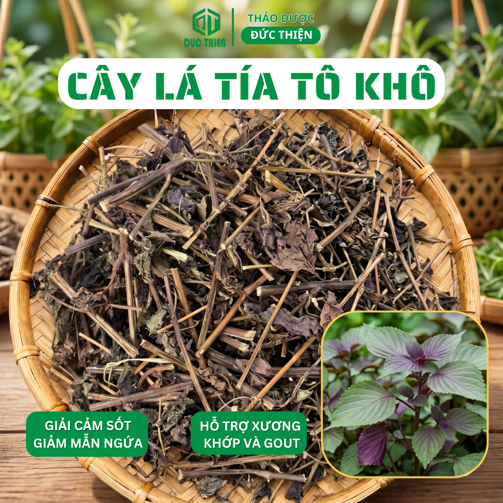 500g Lá Tía Tô Khô Loại 1 Đức Thiện (Thân + Lá) (Khô, Sạch, Thơm) – Giải Cảm, Hỗ Trợ Dạ Dày, Gout
