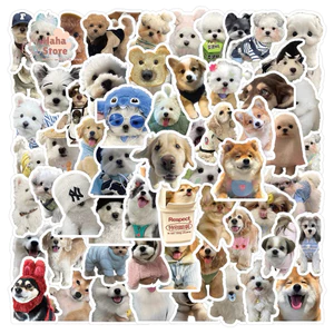 Hình nhãn gián hình Sticker Nhãn gián New 2025 Combo nhãn gián hàng new