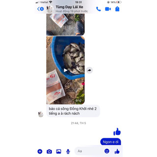 mồi câu diếc