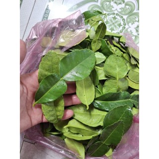 siêu ưu đãi 28k 100g LÁ CHANH THÁI, LÁ CHÚC TƯƠI
