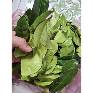 siêu ưu đãi 28k 100g LÁ CHANH THÁI, LÁ CHÚC TƯƠI