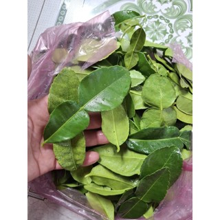siêu ưu đãi 28k 100g LÁ CHANH THÁI, LÁ CHÚC TƯƠI