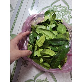siêu ưu đãi 28k 100g LÁ CHANH THÁI, LÁ CHÚC TƯƠI