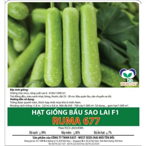 Gói 100 hạt Bầu Sao RUMA 677, Năng Suất Cao, Trồng Quanh Năm, Cty Hai Mũi Tên Đỏ Nổi Tiếng, Hạt Nảy Mầm Nhanh, Mạnh
