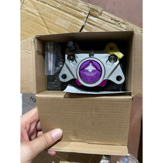 Heo dầu xe điện độ-heo cá mập 2piston đối sứng