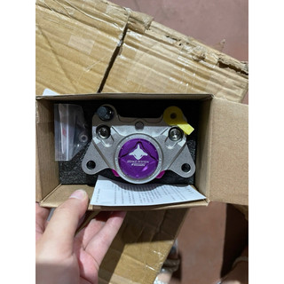 Heo dầu xe điện độ-heo cá mập 2piston đối sứng
