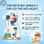 Viên dầu cá Healthy Life Fish Oil Omega 3 hộp 100 viên hỗ trợ não, mắt, tim mạch