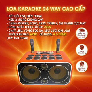 Loa Karaoke 24 Đường Tiếng Kèm 2 Micro Kết Nối Tivi, Điện Thoại, Chỉnh Echo, Bass, Treble Cực Hay.