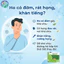Viên uống Hecati Green Softcaps hộp 100 viên hỗ trợ giảm ho, giảm đờm, dịu rát họng