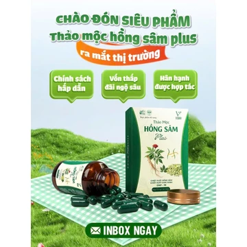 Trà thảo mộc giảm cân Hồng Sâm Plus – hỗ trợ giảm cân, giữ dáng, đẹp da 1 hộp 30 viên