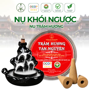 Hộp 45 viên nụ trầm khói ngược Tân Nguyên, thơm dịu nhẹ, ngắm khói chảy như thác đổ