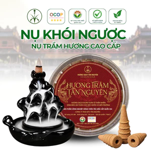Hộp 45 viên nụ trầm hương khói ngược cao cấp Tân Nguyên, thơm dịu nhẹ, ngắm khói chảy