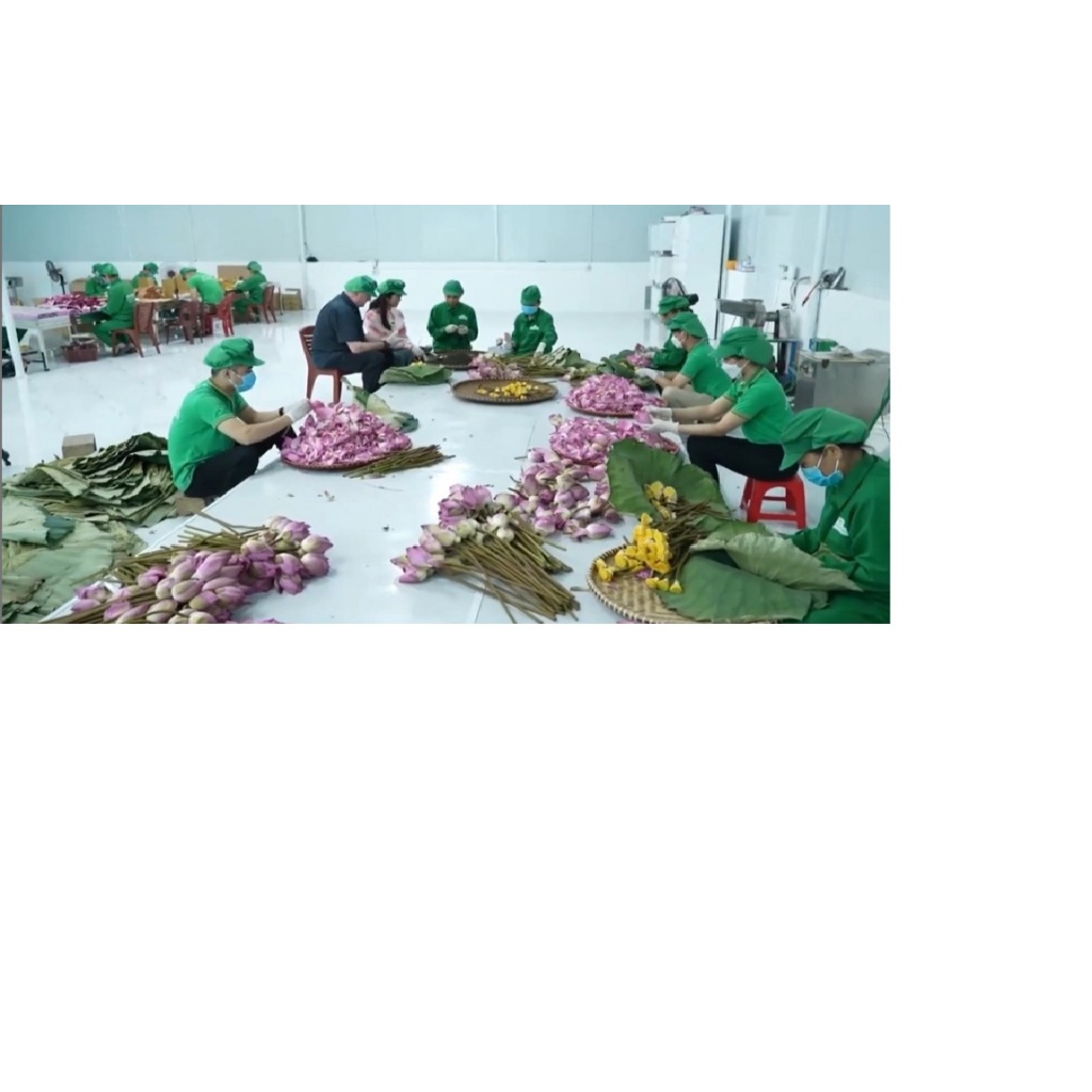 Trà Tân Cương Ướp Sen Tây Hồ 100gram