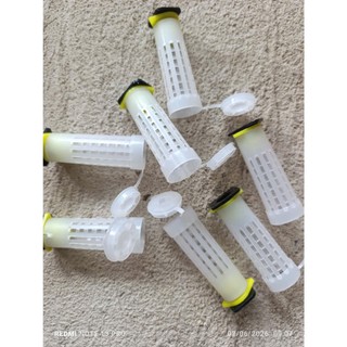 Combo 10 lồng nhốt chúa bằng nhựa tiện lợi