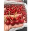Khay trái cây quà tặng nho cherry cực sang