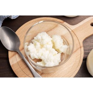 Nấm sữa chua Kefir siêu khỏe