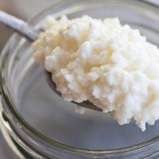 Nấm sữa chua Kefir siêu khỏe