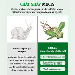 Nước hoa hồng TRUTH OF BEAUTY Cica-Mucin Calming Toner chiết xuất rau má, cấp ẩm sâu, giảm kích ứng, phục hồi làn da