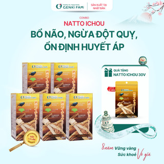 TPBVSK Combo Viên Uống Bổ Não, Ngừa Đột Quỵ Tai Biến, Giúp Ngủ Ngon Nattokinase 3000FU Natto Ichou Genki Fami Nhật Bản