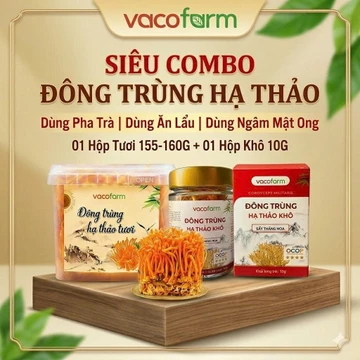 Combo 2 hộp phong cách vừa đông trùng hạ thảo tươi, vừa đông trùng hạ thảo khô, thích gì cũng có