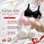 Áo Ngực Không Gọng Đúc Su Mịn Mút Mỏng, Áo Lót Nữ Họa Tiết Xinh Xắn Ngọt Ngào AMYBRA A975