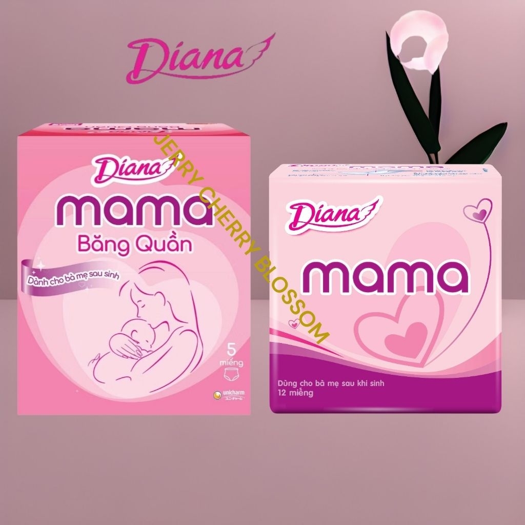 1 Băng vệ sinh Diana mama12 miếng/quần L-XL5 miếng