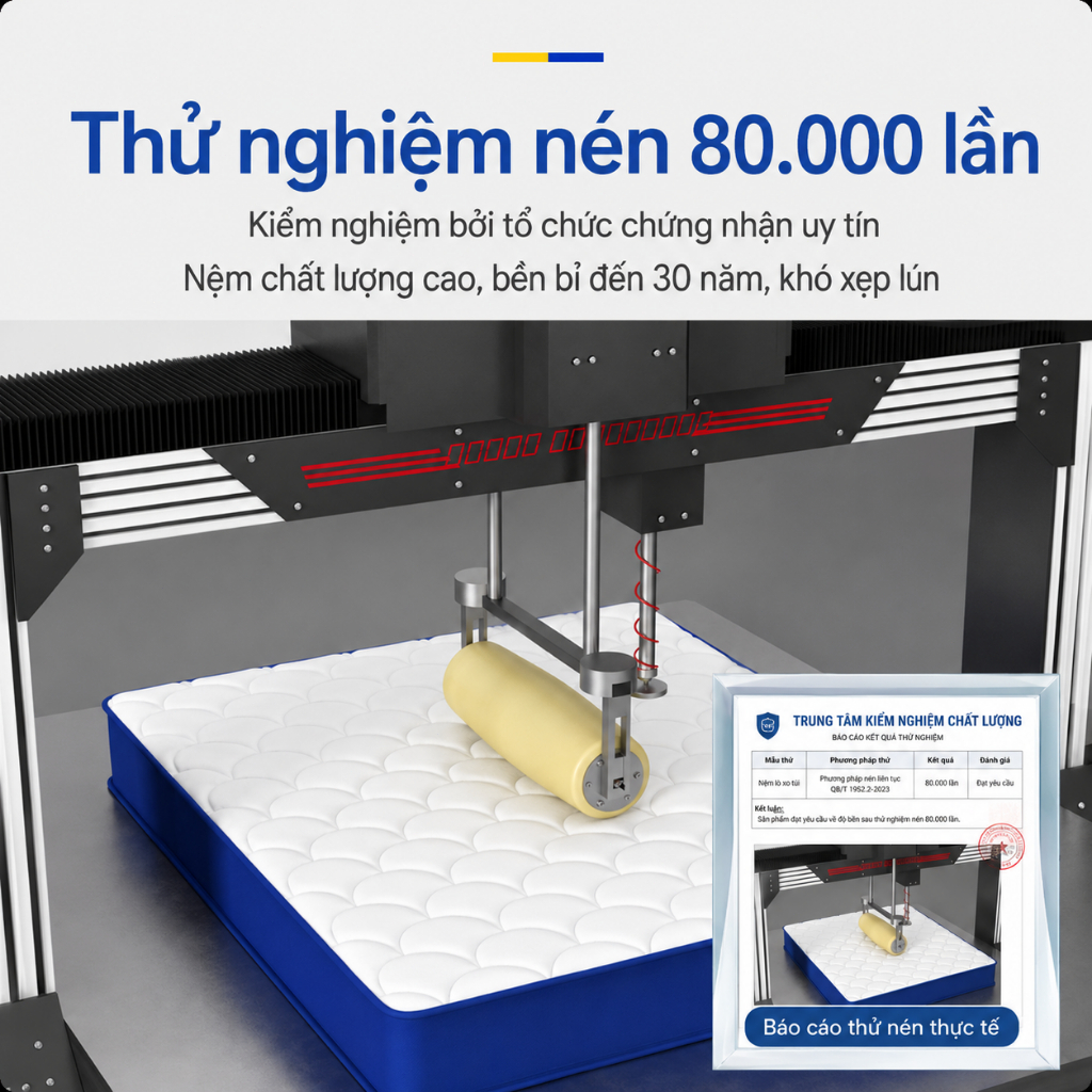 Nệm Cao Su Tự Nhiên Dạng Cuộn CONOCO Êm Ái Thoáng Khí Hỗ Trợ Lưng, Đầy Đủ Kích Thước