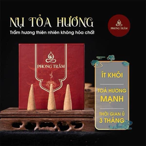 Nụ Trầm Hương Tỏa Hương Phong Trầm – Trầm Thiên Nhiên | Không Hóa Chất | Ít Khói | Ủ 3–6 Tháng