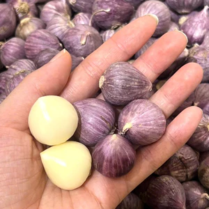 Tỏi Cô Đơn Khô Size Nhỏ - 500g - 1kg - 2kg - Tỏi Khô Dễ Bóc - Gia Vị Cho Mọi Món Ăn