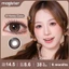Magister Kính Áp Tròng 14.5MM Dòng Lumina Dòng Bộ truyện Cặp 6 tháng Honey Coco lens kính mềm Ice Brew 0-8 độ