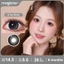 Magister Kính Áp Tròng 14.5MM Dòng Lumina Dòng Bộ truyện Cặp 6 tháng Honey Coco lens kính mềm Ice Brew 0-8 độ