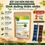 Bột nấm men bia 100g vị vani, protein thực vật thuần chay, vitamin nhóm B tăng năng lượng, giảm mệt mỏi