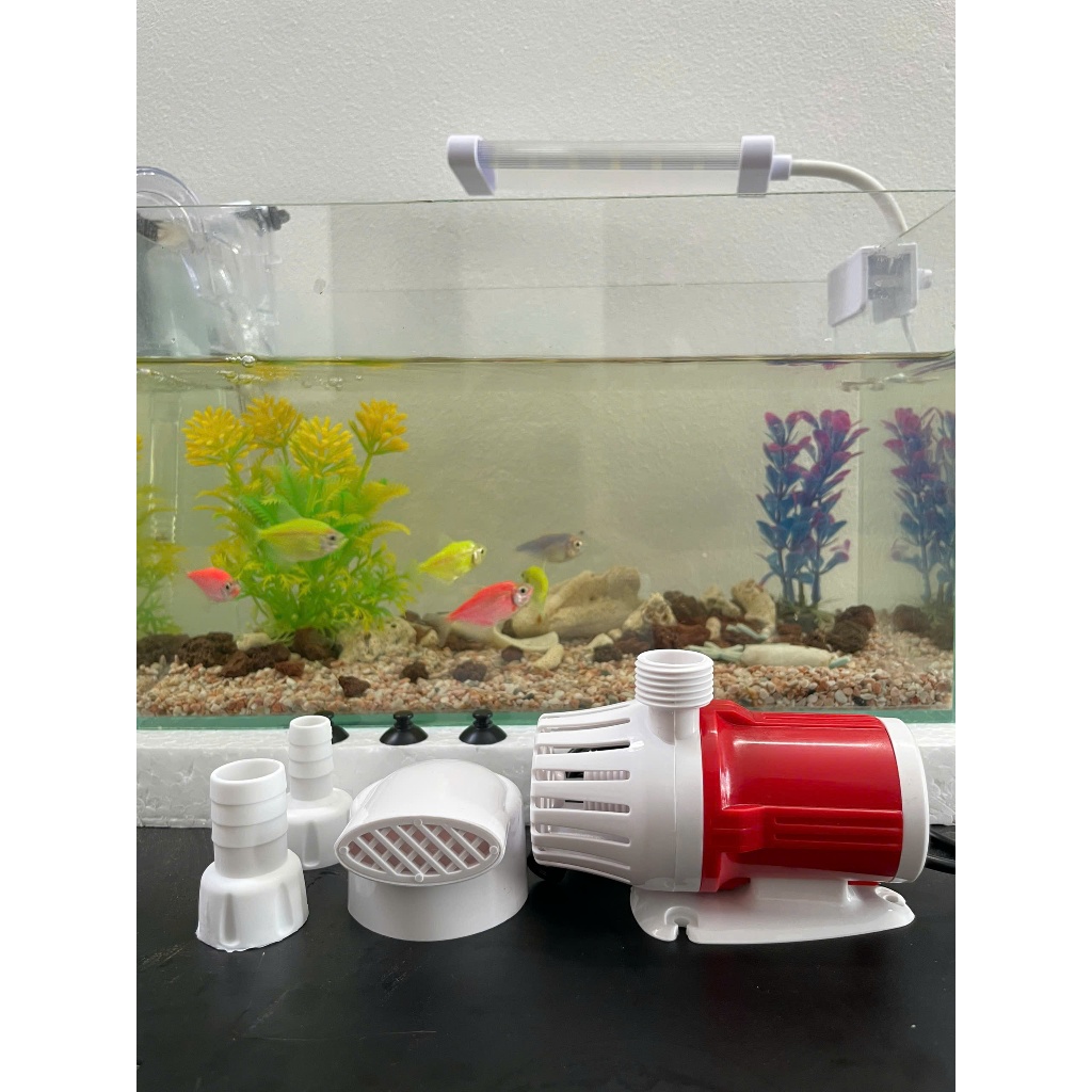 (Chỉ có bơm) Bơm chìm mini 12V 20W dùng tiểu cảnh, hồ cá, quạt hơi nước, không giật, tiết kiệm điện, cảm biến chống cạn