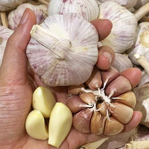 Tỏi Tép Hồng Khô Còn Nguyên Vỏ 500G - 1Kg - 2Kg - Củ To Chắc Tép - Tép Có Màu Hồng Nhạt