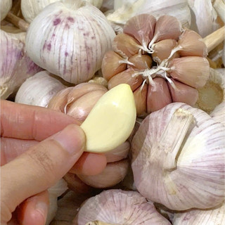 Tỏi Tép Hồng Khô Còn Nguyên Vỏ 500G - 1Kg - 2Kg - Củ To Chắc Tép - Tép Có Màu Hồng Nhạt