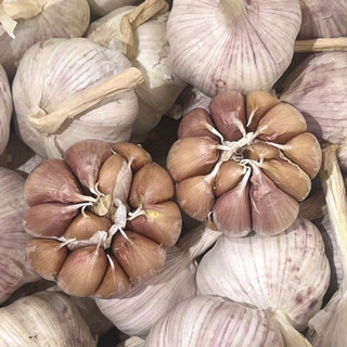 Tỏi Tép Hồng Khô Còn Nguyên Vỏ 500G - 1Kg - 2Kg - Củ To Chắc Tép - Tép Có Màu Hồng Nhạt
