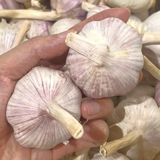 Tỏi Tép Hồng Khô Còn Nguyên Vỏ 500G - 1Kg - 2Kg - Củ To Chắc Tép - Tép Có Màu Hồng Nhạt