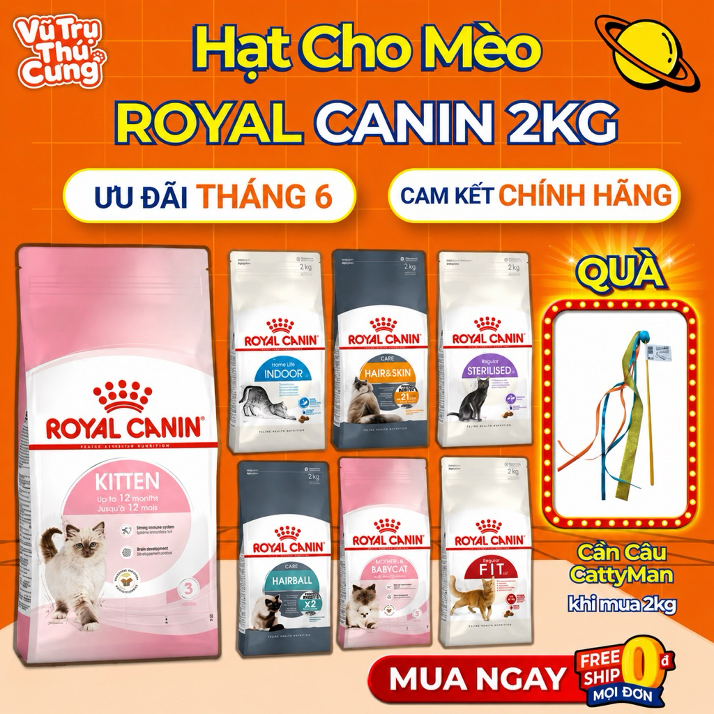 Hạt Cho Mèo Royal Canin Kitten, MotherBabycat, Indoor, Fit32, Hairball - Tặng Cần Câu CattyMan