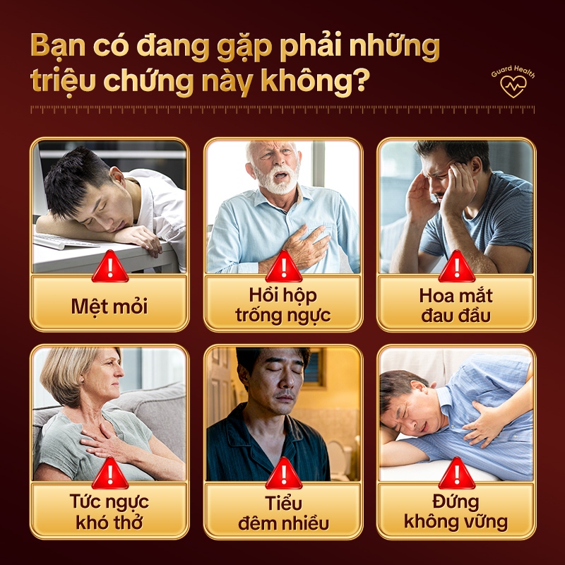 Tong Ren Tang Trà Thảo Mộc Tim Mạch Não – Hỗ Trợ Lưu Thông Máu, Giảm Mỡ Máu, Ổn Định Huyết Áp