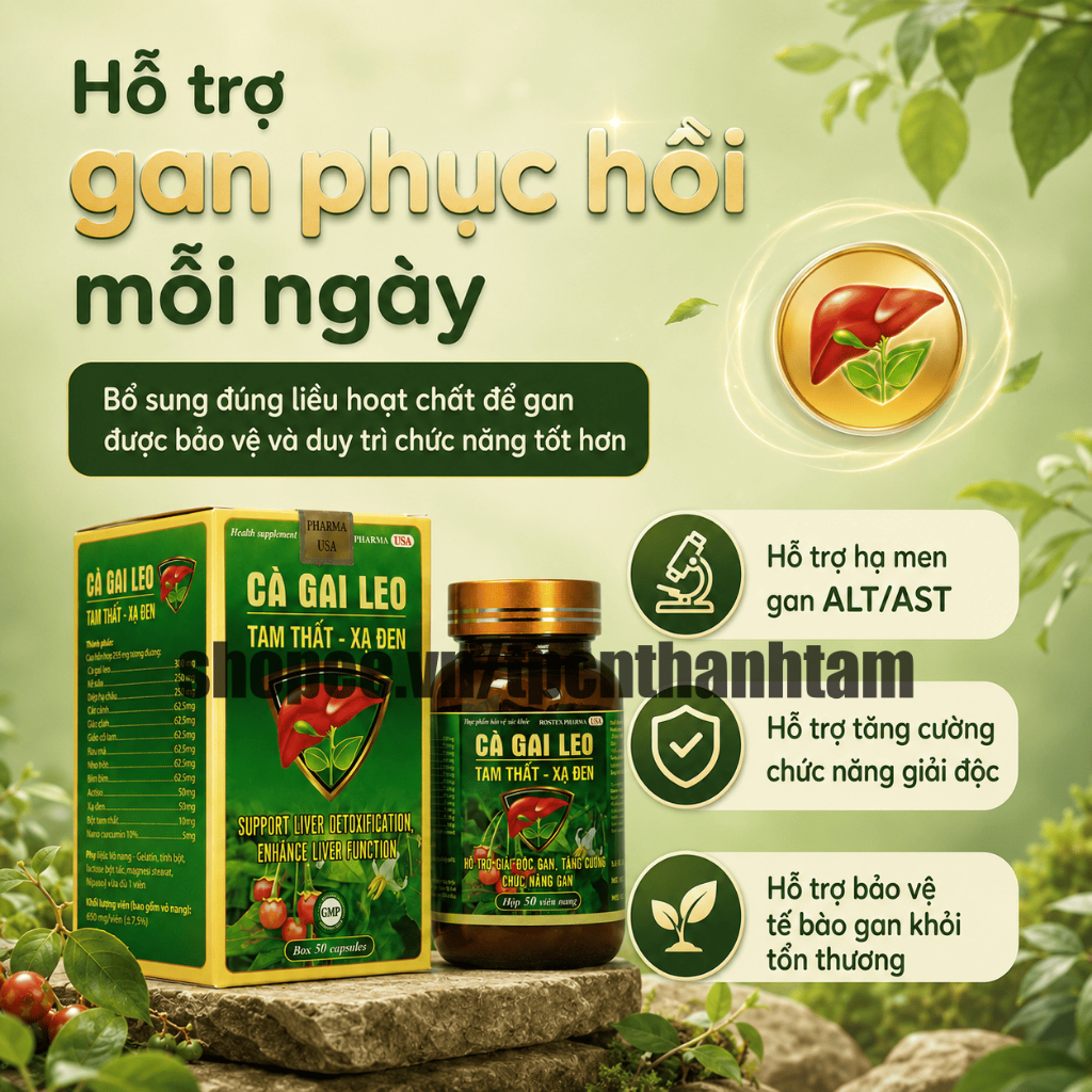 Viên uống CÀ GAI LEO TAM THẤT XẠ ĐEN 50V thanh nhiệt, thải độc, mát gan, tăng cường chức năng