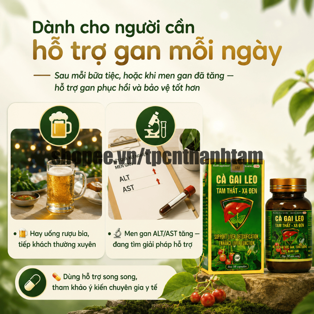 Viên uống CÀ GAI LEO TAM THẤT XẠ ĐEN 50V thanh nhiệt, thải độc, mát gan, tăng cường chức năng