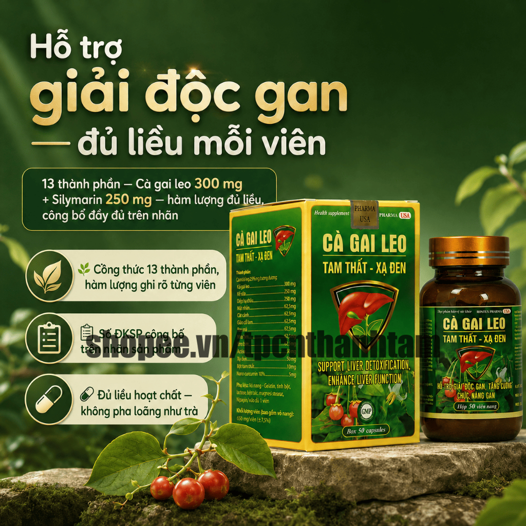 Viên uống CÀ GAI LEO TAM THẤT XẠ ĐEN 50V thanh nhiệt, thải độc, mát gan, tăng cường chức năng