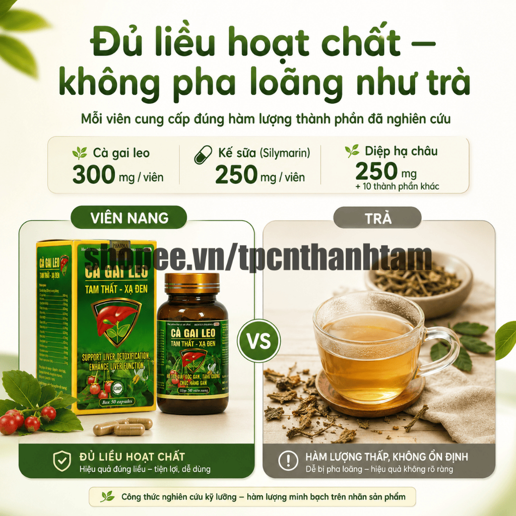 Viên uống CÀ GAI LEO TAM THẤT XẠ ĐEN 50V thanh nhiệt, thải độc, mát gan, tăng cường chức năng