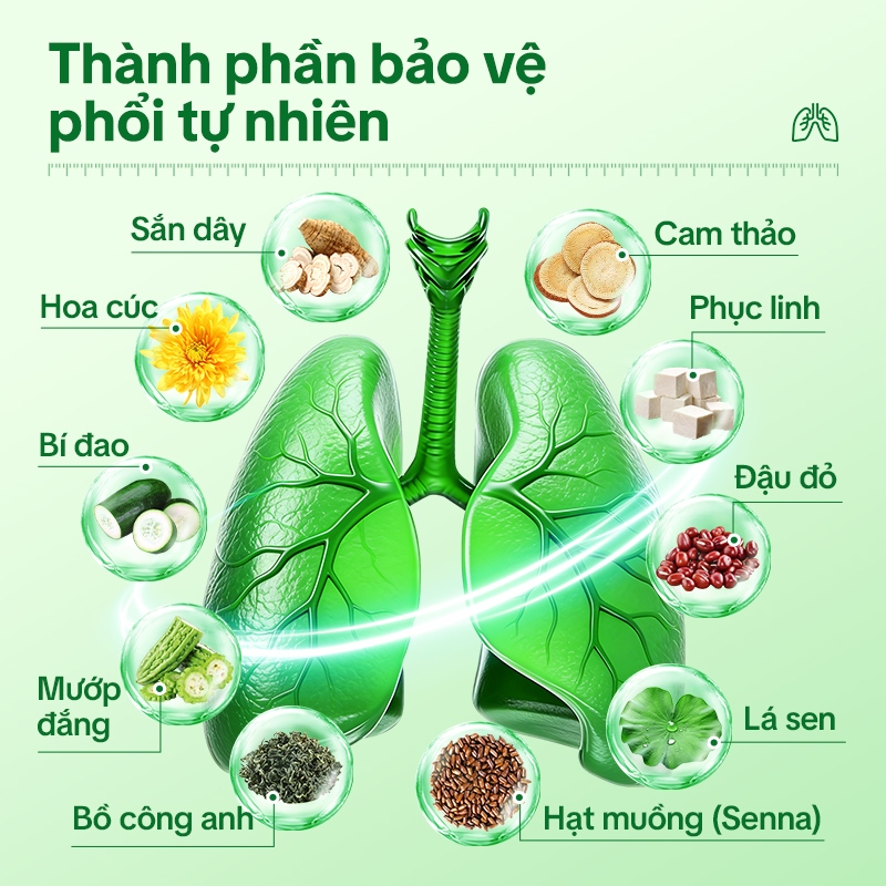 Tong Ren Tang Trà Thảo Mộc Phổi – Hỗ Trợ Làm Dịu Cổ Họng, Giảm Đờm, Thanh Phế, Dễ Thở