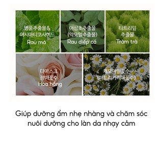Kem Chống Nắng Nâng Tone The Saem Eco Earth Pink Sun Cream EX KCN The Saem Nâng Tông Căng Bóng - Skinora Beauty