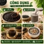 Đậu Đen Xanh Lòng Dùng Gia Đình / Quán – Hạt Đẹp Ít Lép – Nấu Chè, Rang Nước Uống